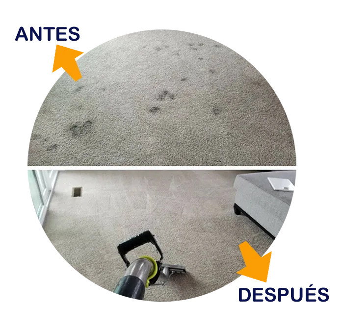 Antes y después del lavado de alfombras en Comas